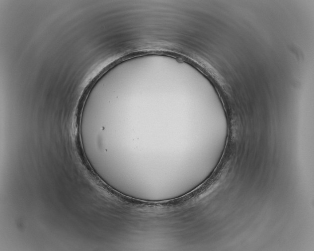 X0000113580885200910161538