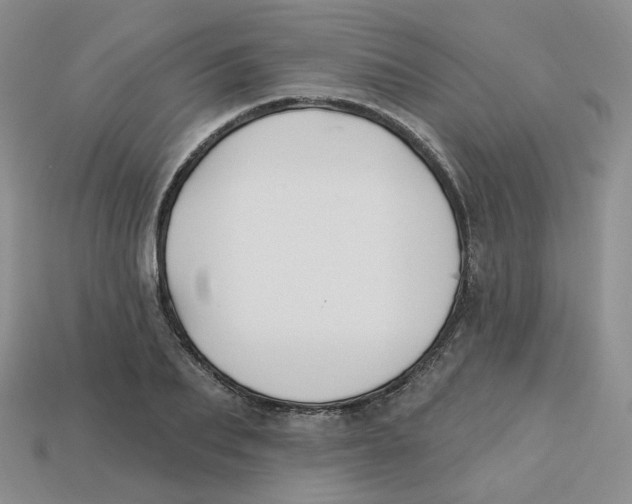 X0000113580887200910161537