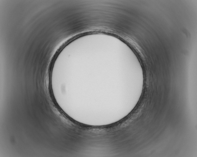 X0000113580888200910161537