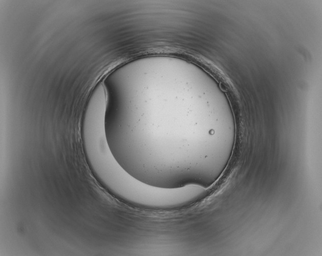 X0000113580889200910161537