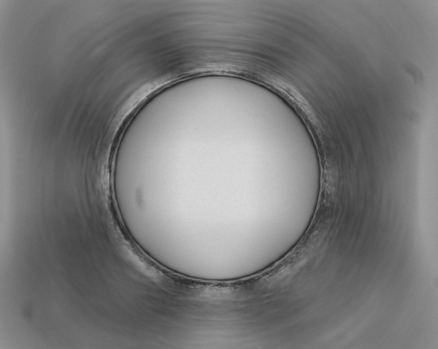 X0000113580890200910161537