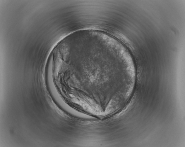 X0000113580892200910161537