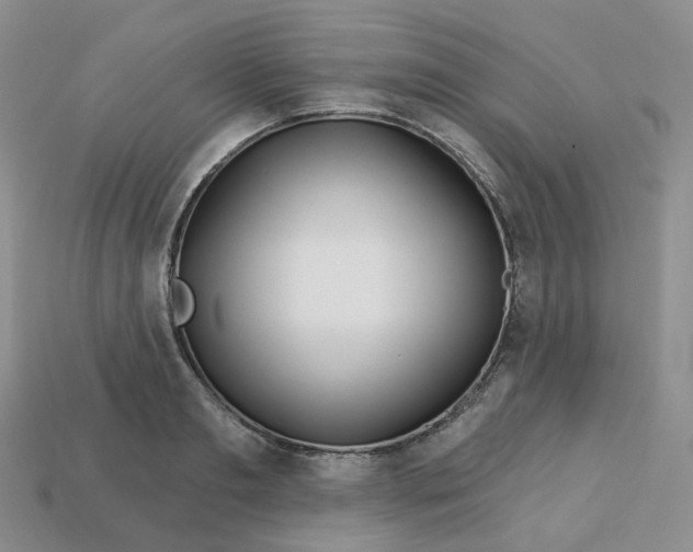 X0000113580893200910161537