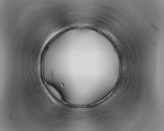 X0000113580894200910161537