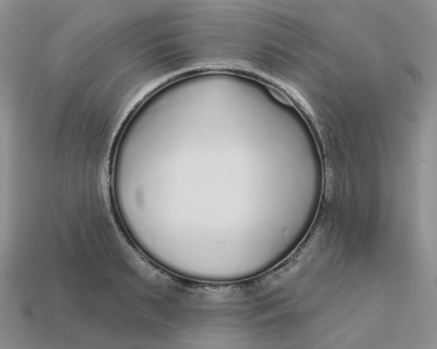 X0000113580895200910161537