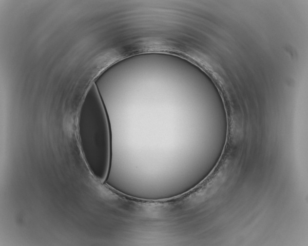 X0000113580897200910161537