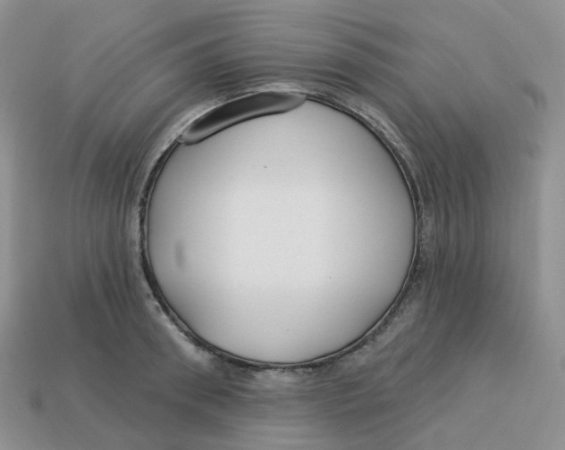 X0000113580898200910161537