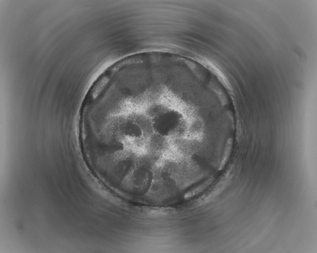 X0000113580899200910161537