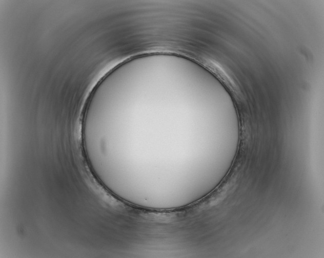 X0000113580900200910161537