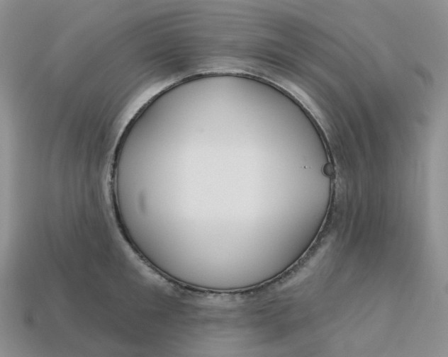 X0000113580901200910161537