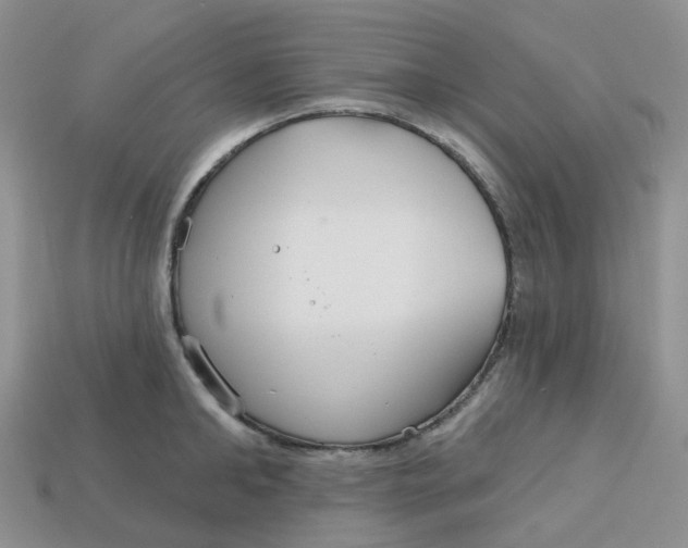 X0000113580902200910161537