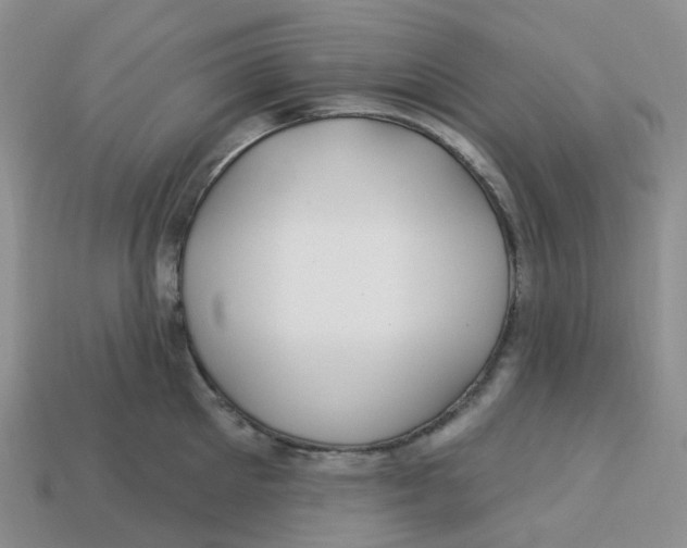 X0000113580905200910161537