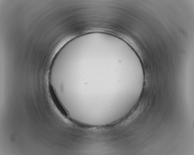 X0000113580906200910161537