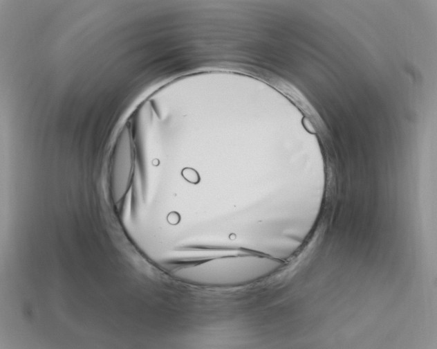 X0000113580908200910161537