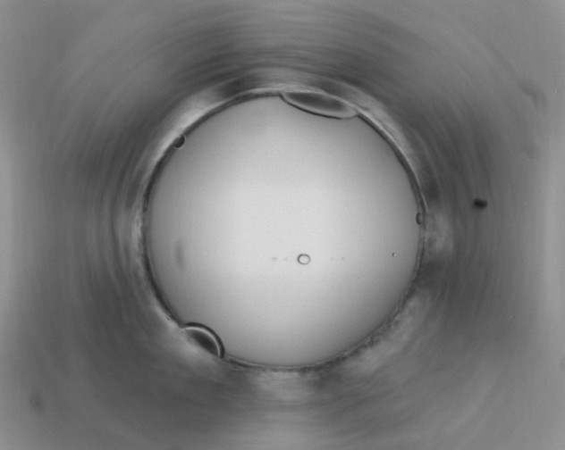 X0000113580909200910161537