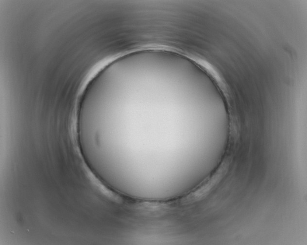 X0000113580910200910161537