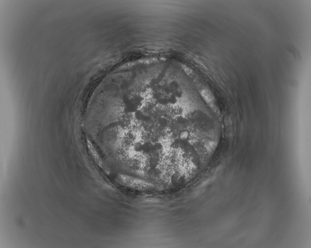 X0000113580913200910161537