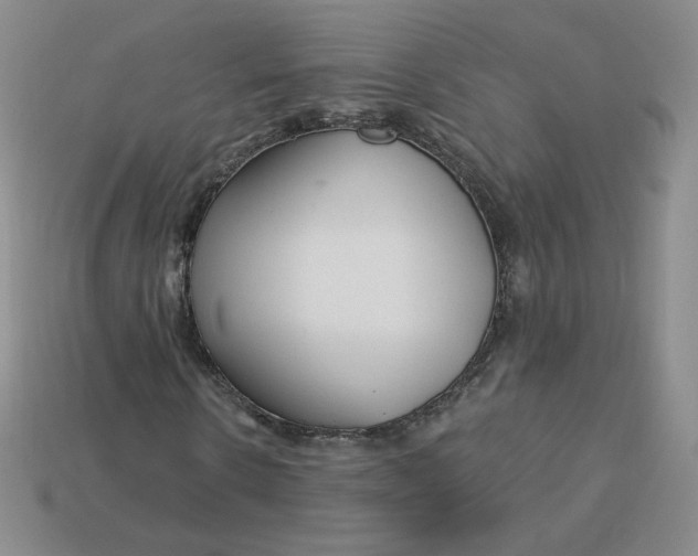 X0000113580914200910161537