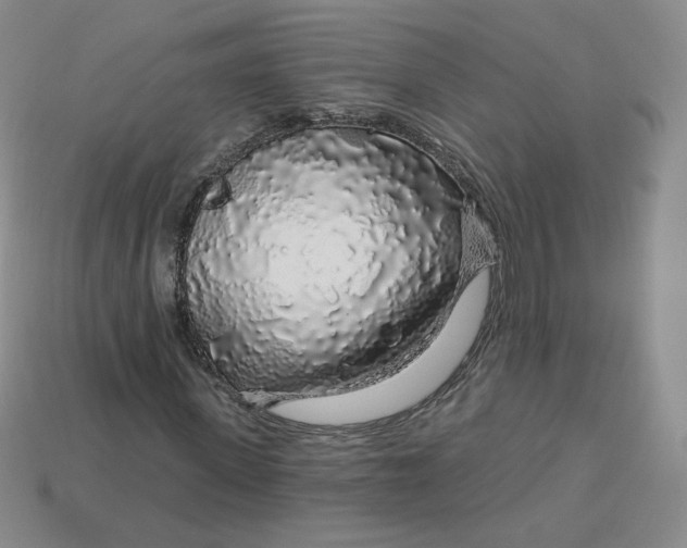 X0000113580915200910161537