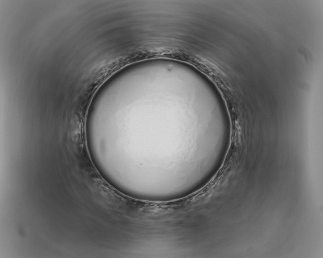 X0000113580917200910161537