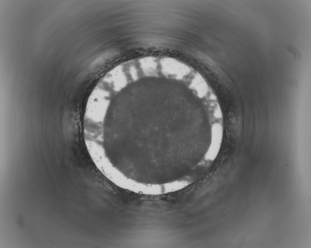 X0000113580918200910161537