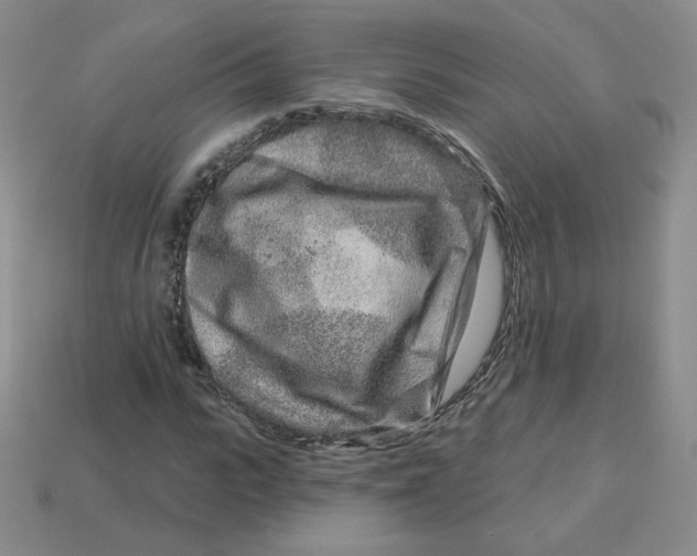 X0000113580919200910161537