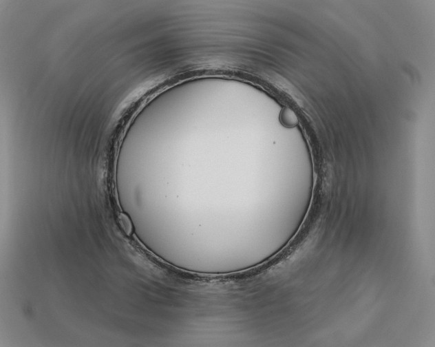 X0000113580922200910161537