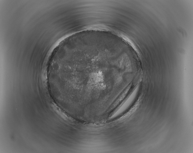 X0000113580923200910161537