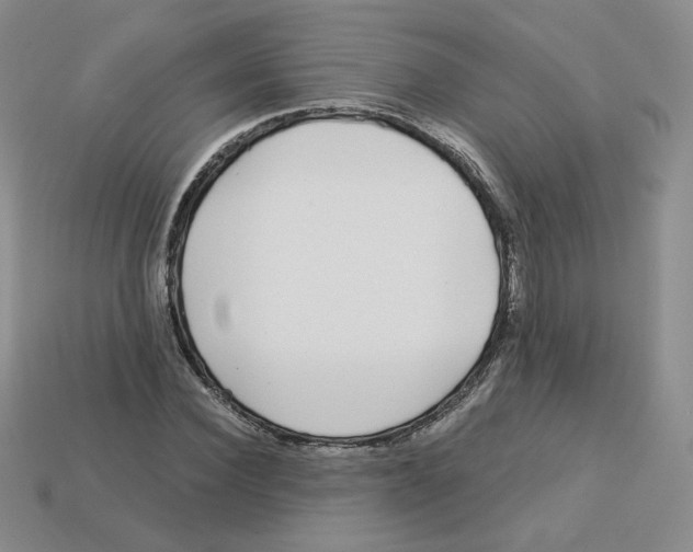 X0000113580924200910161537