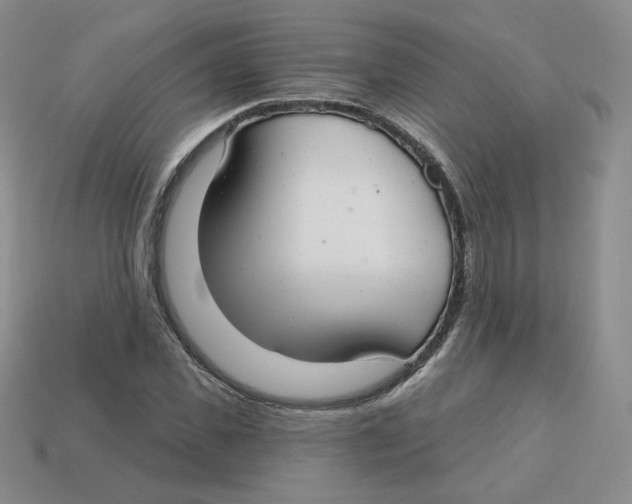 X0000113580925200910161537