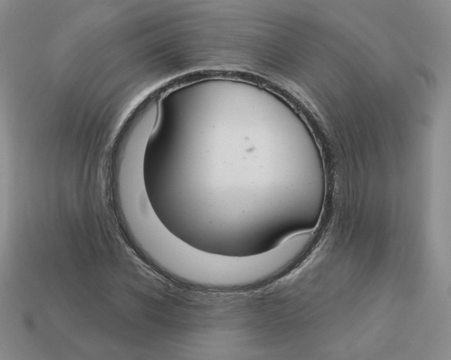 X0000113580926200910161537