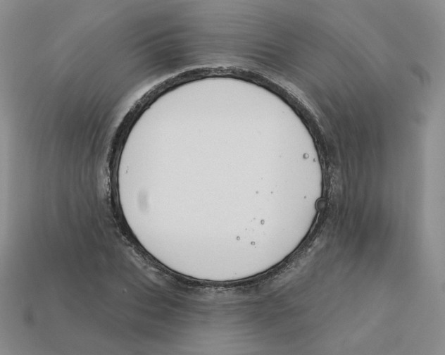 X0000113580927200910161537