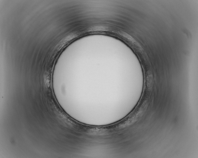 X0000113580929200910161537