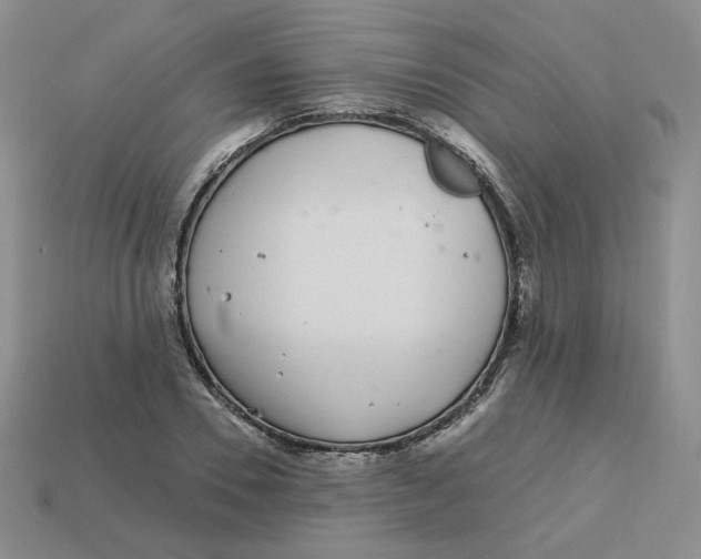 X0000113580930200910161537