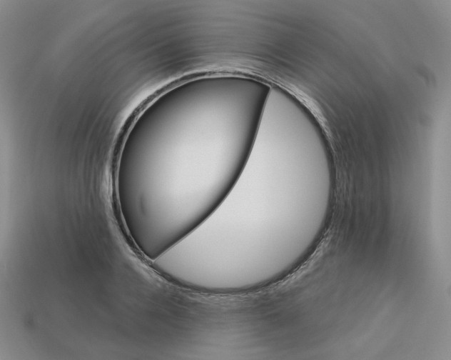 X0000113580936200910161537