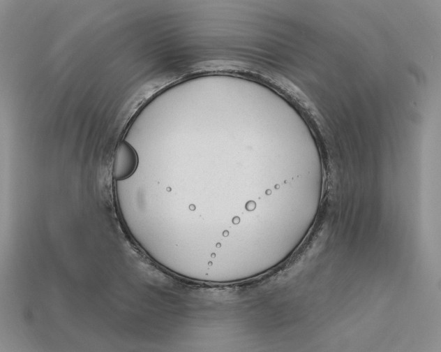 X0000113580937200910161537