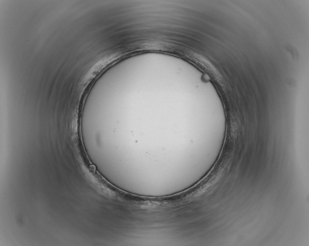 X0000113580938200910161537