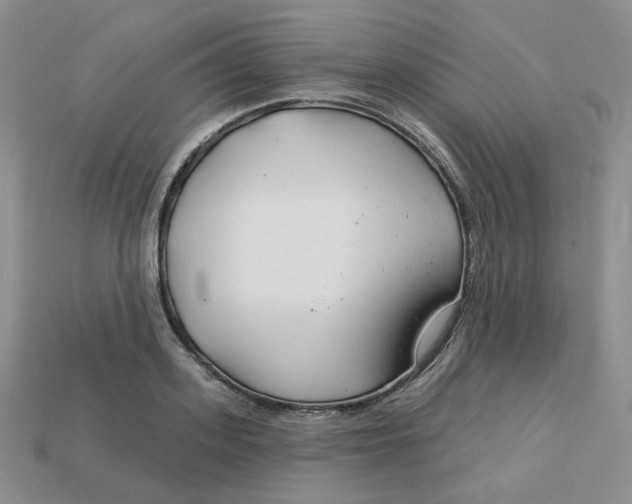 X0000113580939200910161537