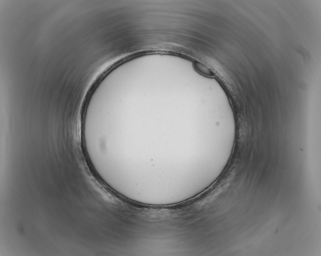 X0000113580940200910161537