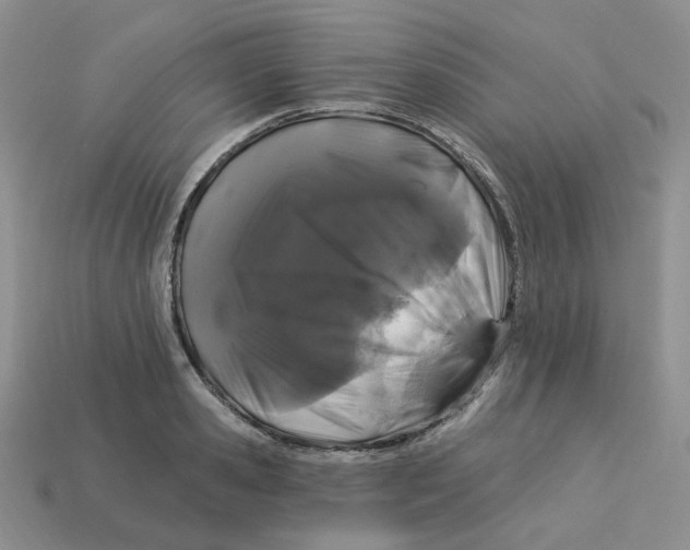 X0000113580941200910161537