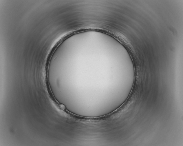 X0000113580942200910161537