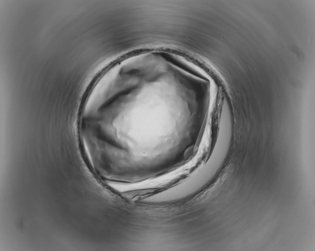 X0000113580943200910161537