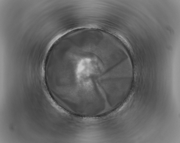 X0000113580944200910161537