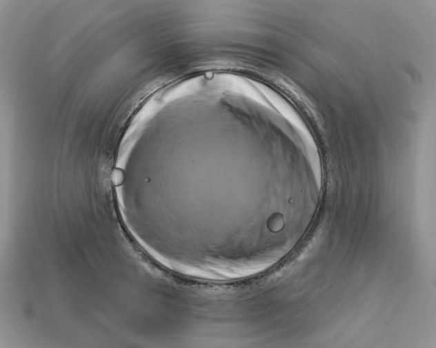 X0000113580945200910161537