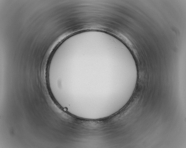 X0000113580947200910161537