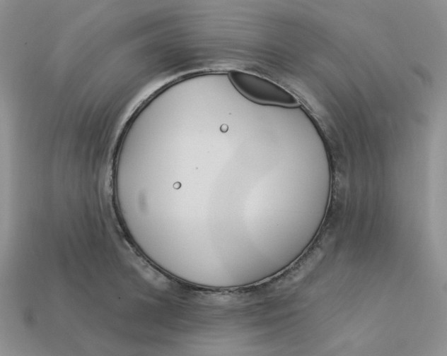 X0000113580948200910161537