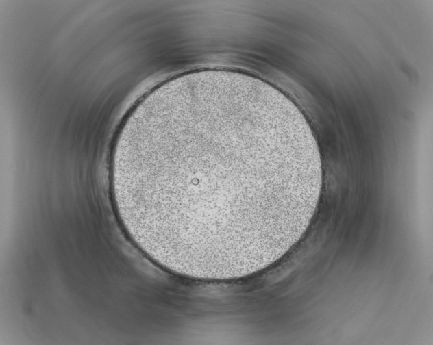 X0000113580950200910161537