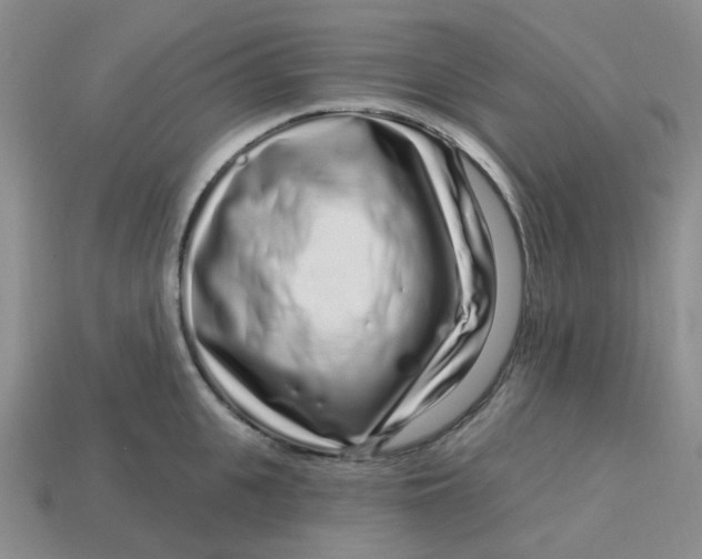 X0000113580951200910161537