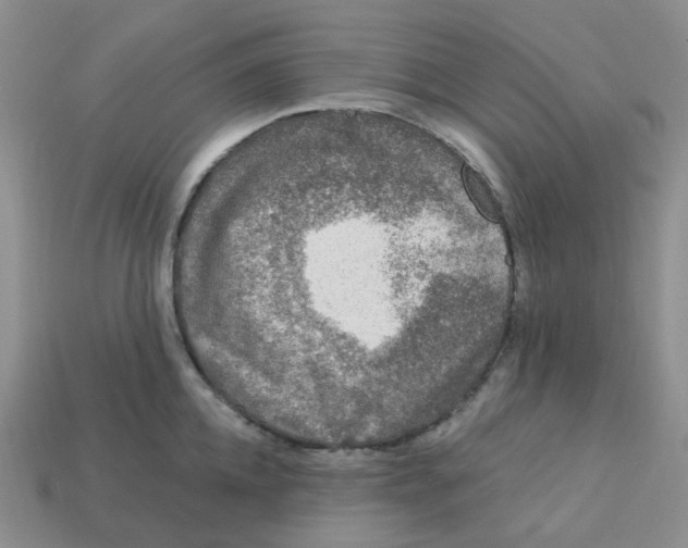 X0000113580952200910161537