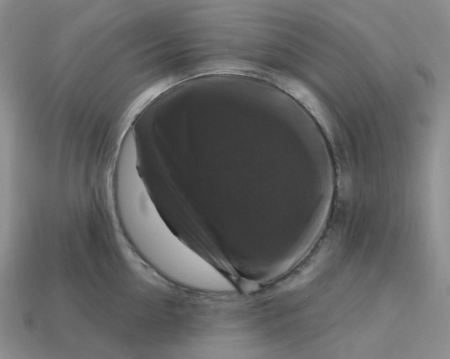 X0000113580954200910161537